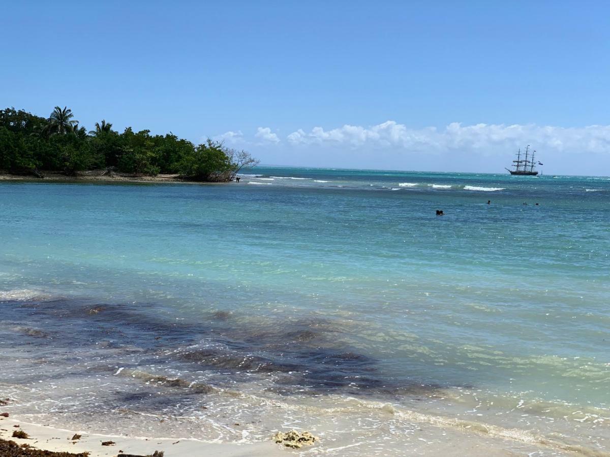 Residence Village Viva Bas Du Fort Le Gosier  Luaran gambar